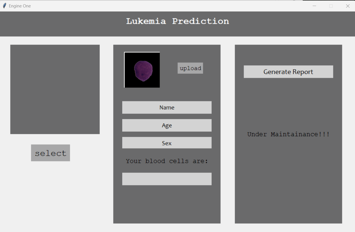 Cancer Prediction Software with Vision Transformer as backend